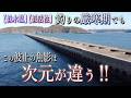 マジか⁉この波止の魚影は一体何なんだ!?まさに異次元じゃねぇか‼