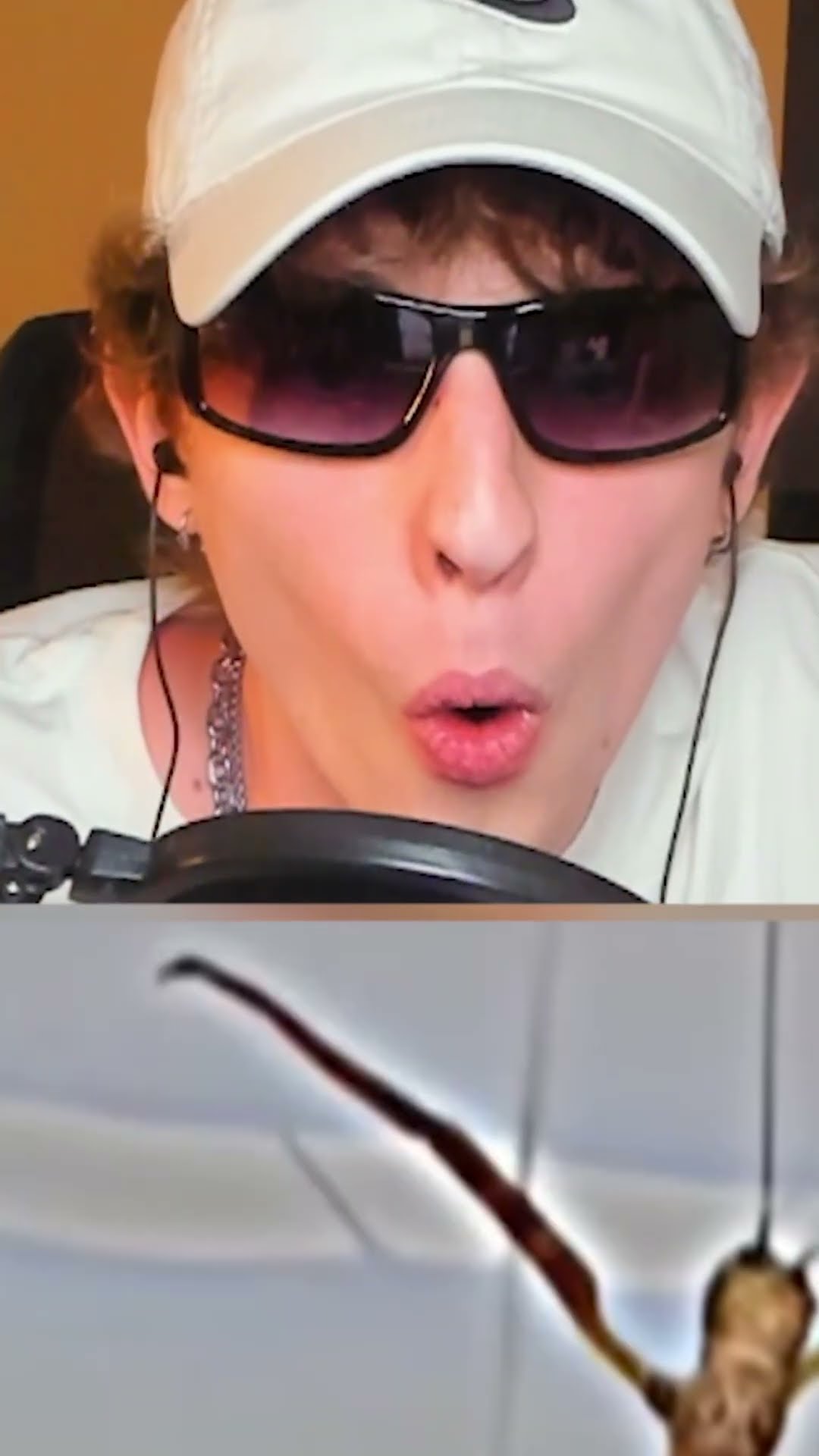 El mejor INSECTO?