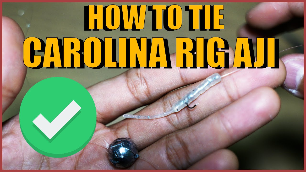 How to tie Carolina Rig Ajing 