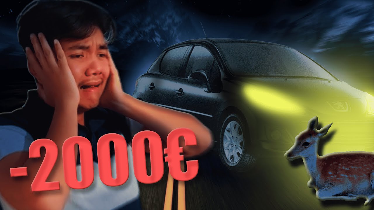 UNE BICHE CASSE MA VOITURE (ft. Skazcover)