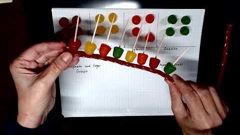 Middle School STEM Lesson - DNA Replica Made with Candy!