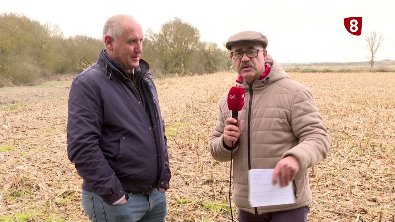 LAS INUNDACIONES LASTRAN EL CAMPO - Campo Salmantino, 23 de febrero de 2026