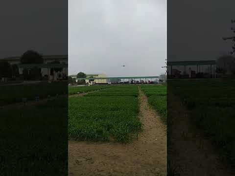 Testing of Dron in ICAR- IIWBR, Karnal Haryana