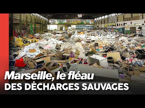 Vidéo: De la corbeille à l'or: trois entrepreneurs qui ont fait des millions de déchets