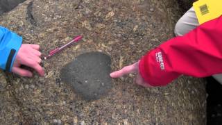 Cornwall - Porth Ledden - Example of Xenolith