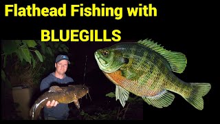 Bluegill vs. Rock Bass for Flathead Catfish (Great Baits!) 