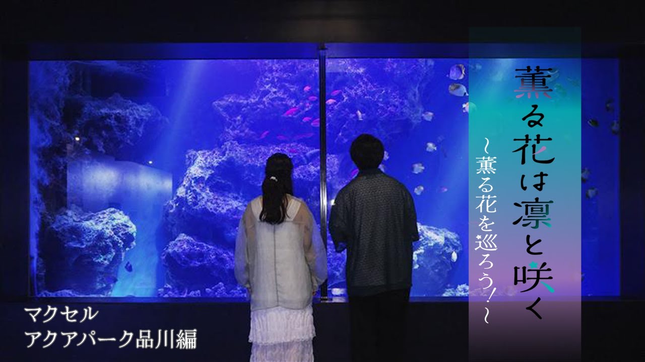 TVアニメ『薫る花は凛と咲く』｜薫る花を巡ろう！～マクセル アクアパーク品川編～