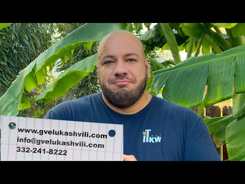 პარალეგალის დახმარება ამერიკაში მყოფ ქართველებს, მექსიკიდან შემოსული ადამიანების ჩათვლით!