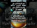 لغز الذبابة الذي حي ر العلماء وأخبرنا به القرآن قبل 1400 عام