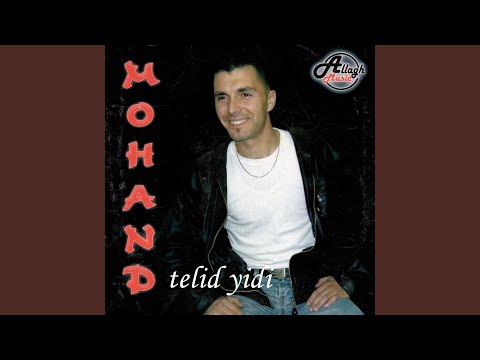 Telid Yidi