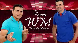 ForróWM Nosso amor tá bagunçado (Trio Remelexo)