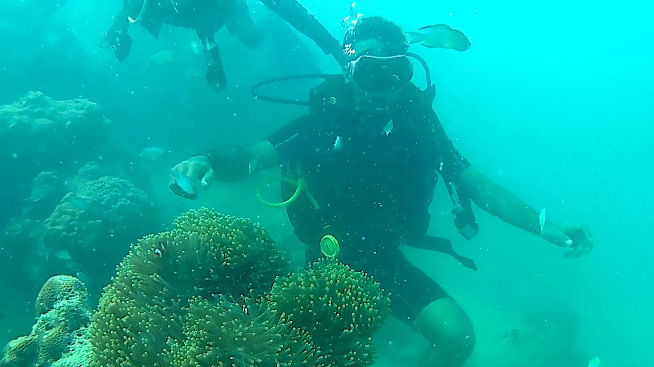 Scuba Diving YouTube