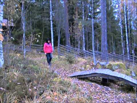 Värmland Torsby Hembygdsgård