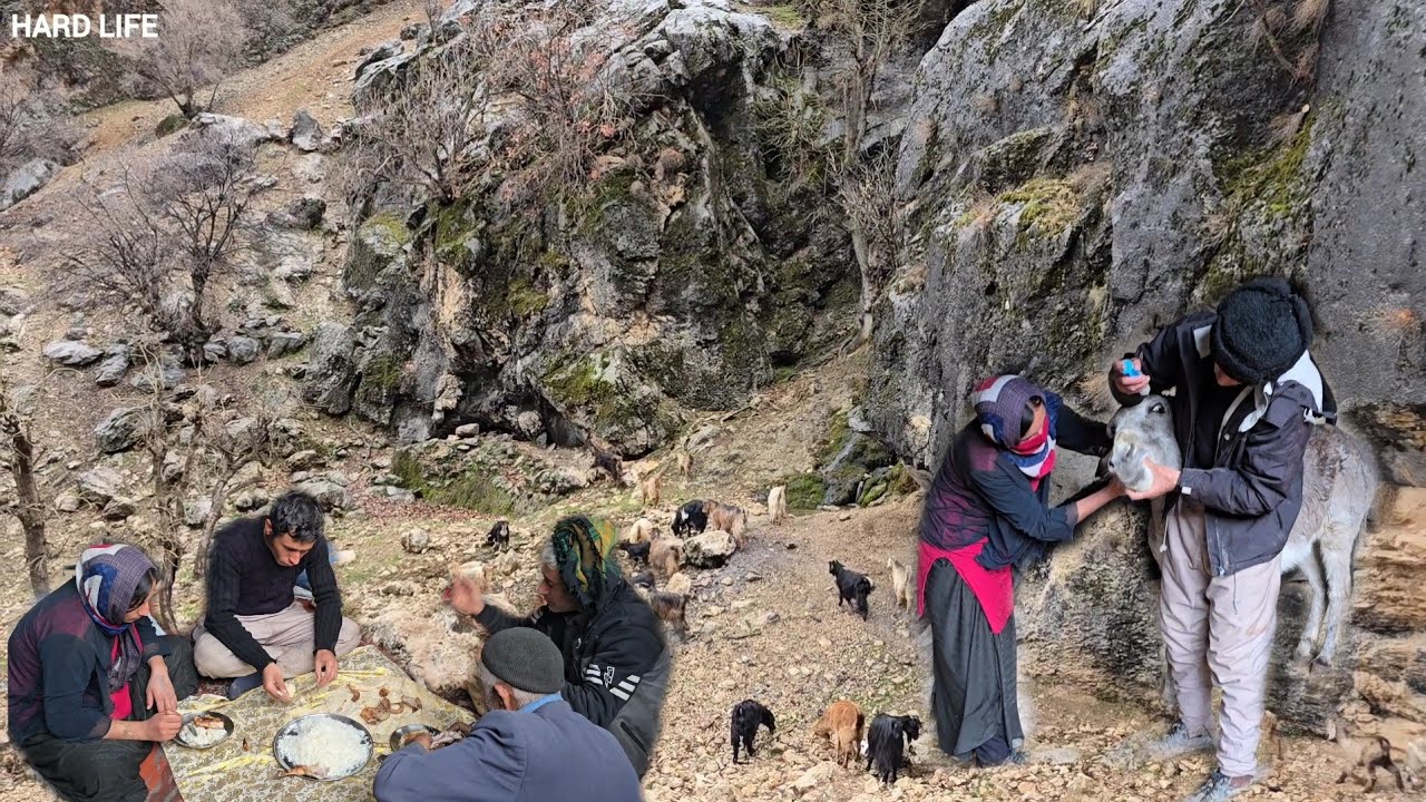 Nomadic life a day of shepherding in the storm and giving medicine to ...