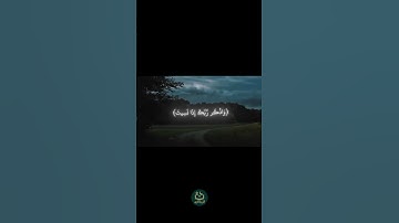 سورة الكهف : الآية 24