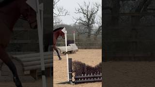 It’s important to do some flat work before jumping #exracehorse #horseriding #flatwork #6yrold