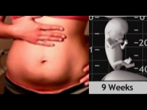 Panza De 9 Semanas De Embarazo 2 Meses Y Desarrollo Del Feto Youtube