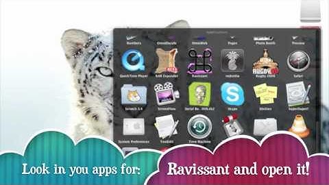 Custom Snow Leopard login screen!