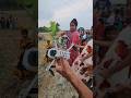DJI mini 2 #reels #shortvideo #shorts #djimini2 #drone #dji #camera #new #video #viralsong #ytshorts
