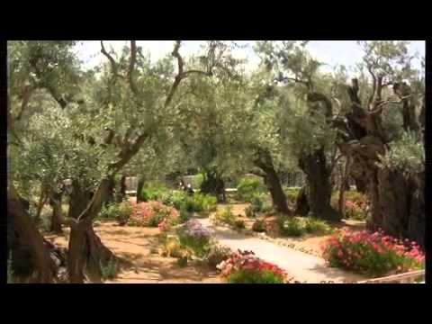 ჯვრის მონასტერი იერუსალიმში   ზურა ენდელაძე