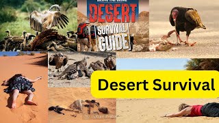 Desert Survival 101 Your Ultimate Guide #desert #survival #ultimate #guide