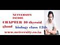 CHAPTER 40 Endocrine glands part 1 Thyroid gland