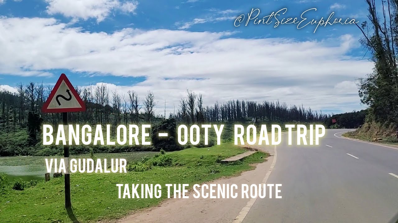 Bangalore to Ooty Road Trip | Via Bandipur, Mudumalai, Gudalur | Scenic Route | KIA Sonet | November