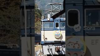 碓氷峠鉄道文化村のef63