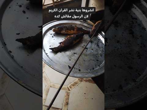 اطعام لقمة لقمة خير لايك ترند الجزائر العراق اكسبلور مصر المغرب اشتركو افكار اطعام اكل