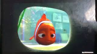 Finding Nemo the good news 