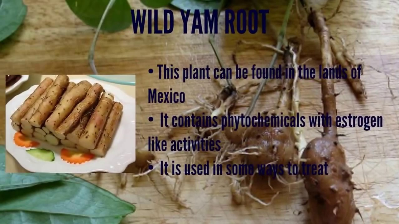 Top 7 Herbal For Breast Enlargement YouTube