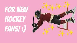 Famous PWHL Power Play Rules Explained: Jailbreak, No Escape (For New Hockey Fans) Net Worth