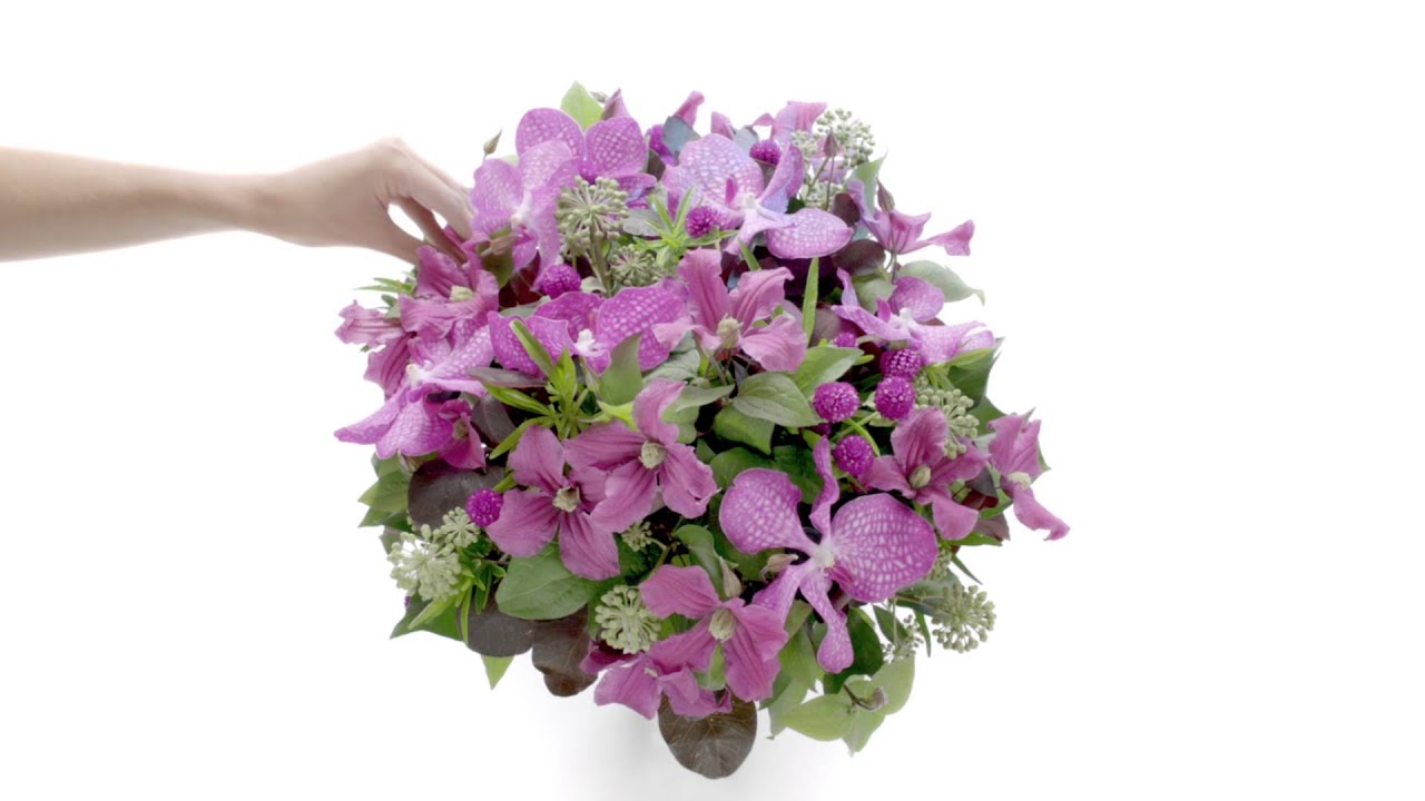 Aquarelle Pub Tv Fleurs Rares