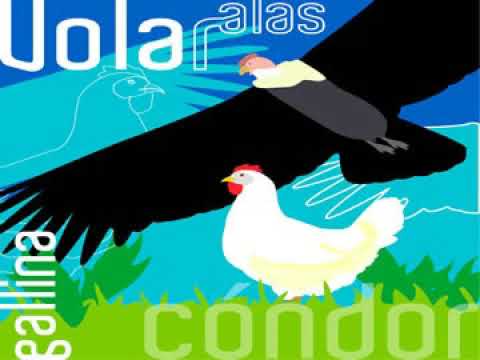 Video: ¿Por qué las gallinas no vuelan cuando son pájaros?