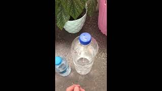 Tatildeyken çiçekler nasıl sulanır, çiçek sulama, damlama sulama, çiçek bakımı