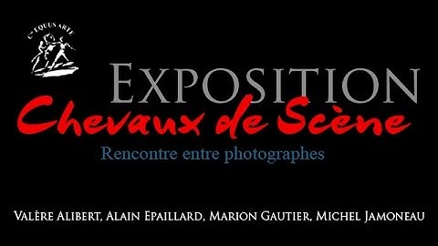 Exposition Chevaux de Scène présentation