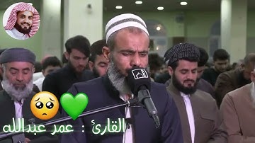 وسيق الذين كفروا إلى جهنم زمرا || عمر عبدالله سورة ( الزمر ) ..