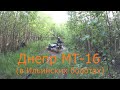 Днепр МТ-16 (в Ильинских болотах)