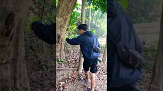Berpetualang berburu tokek pohon dan mancing ikan #vlog #minivlog #adventure