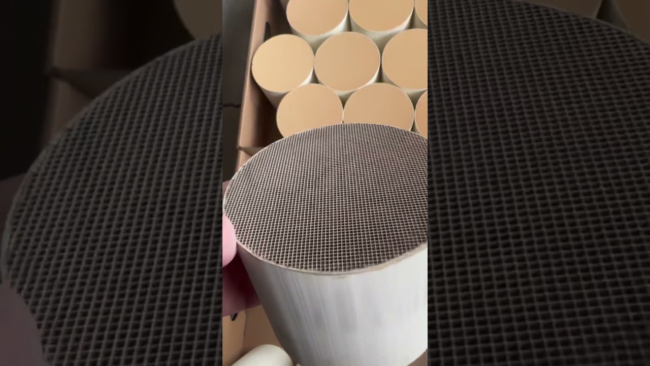 Honeycomb ceramic carrier catalyst