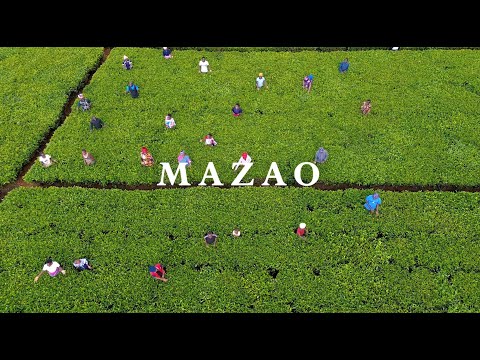 Nyakegogi SDA Youth Choir MAZAO