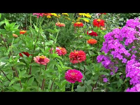 Video Hình ảnh thiên nhiên đẹp nhất thế giới-Phần 2: Hoa cỏ... - youtube
