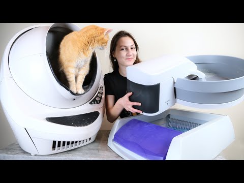 Video: Best Automatic Cat Litter Box: Cat Box Spinner Review og mer