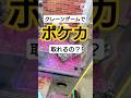 ポケカキャッチャーシャイニートレジャーex #ポケモン #shorts #pokemon #pokemongo #ポケカ #pokemontcg