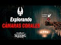 #HollowKnightSilksong 🐞🎶| Explorando Cámaras Corales 🎼 ¿lograremos llegar a la ciudadela? ⚒️| #Cap17