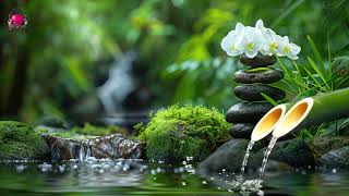 Relaxing Music  Sound of Bamboo Water Helps to Stabilize The Mind, Restore Health