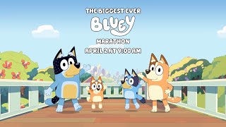 Biggest Ever Bluey Marathon FANMADE Promo (April Fools Day Special)