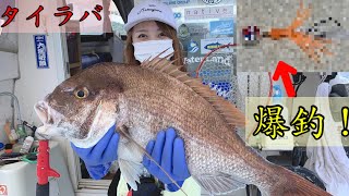 【タイラバ】必見！今絶対釣れる仕掛けをご紹介します。釣りガールが爆釣！【真鯛】