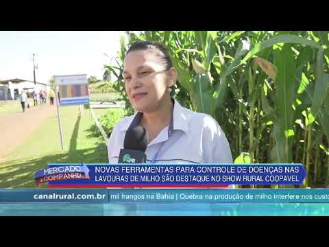 Show Rural: Novas ferramentas para controle de doenças nas lavouras de milho são destaque