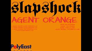Agent Orange (album clean version)